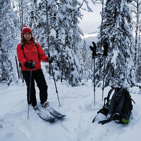 Guesthouse Koli Freetime Ahmovaara 외부 사진