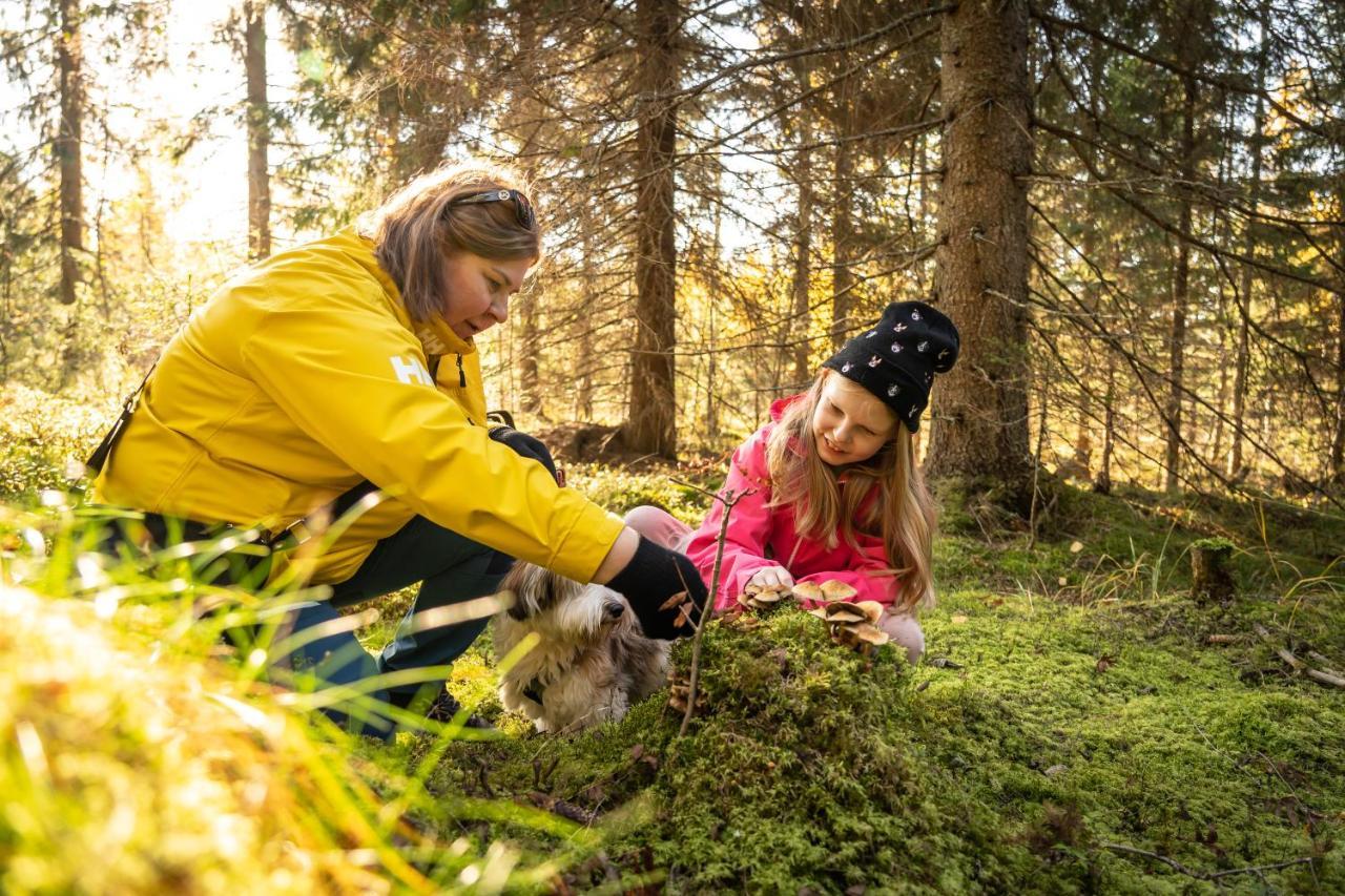 Guesthouse Koli Freetime Ahmovaara 외부 사진