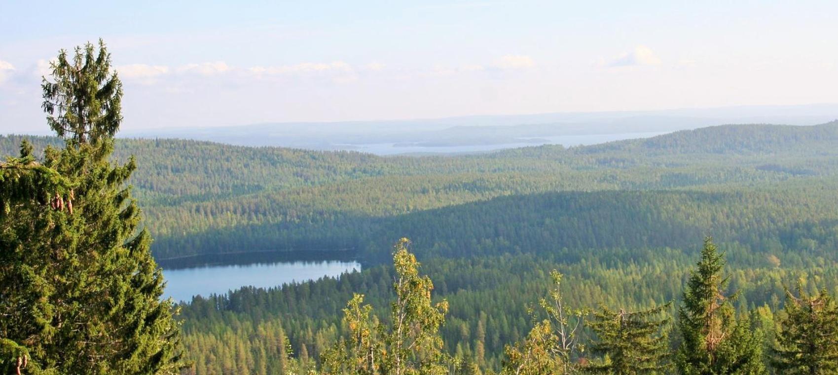 Guesthouse Koli Freetime Ahmovaara 외부 사진