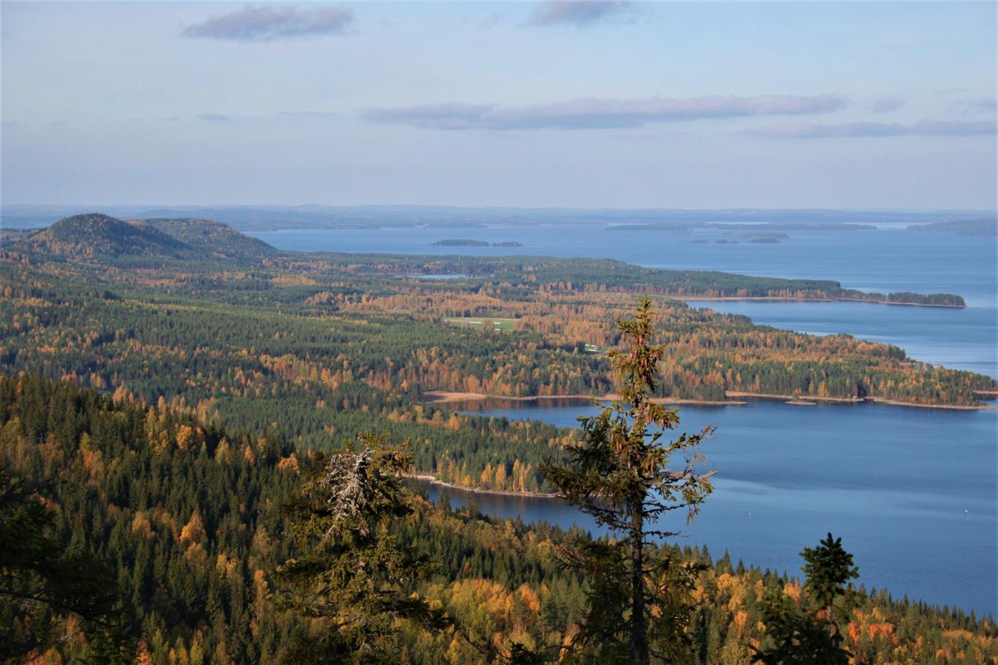 Guesthouse Koli Freetime Ahmovaara 외부 사진