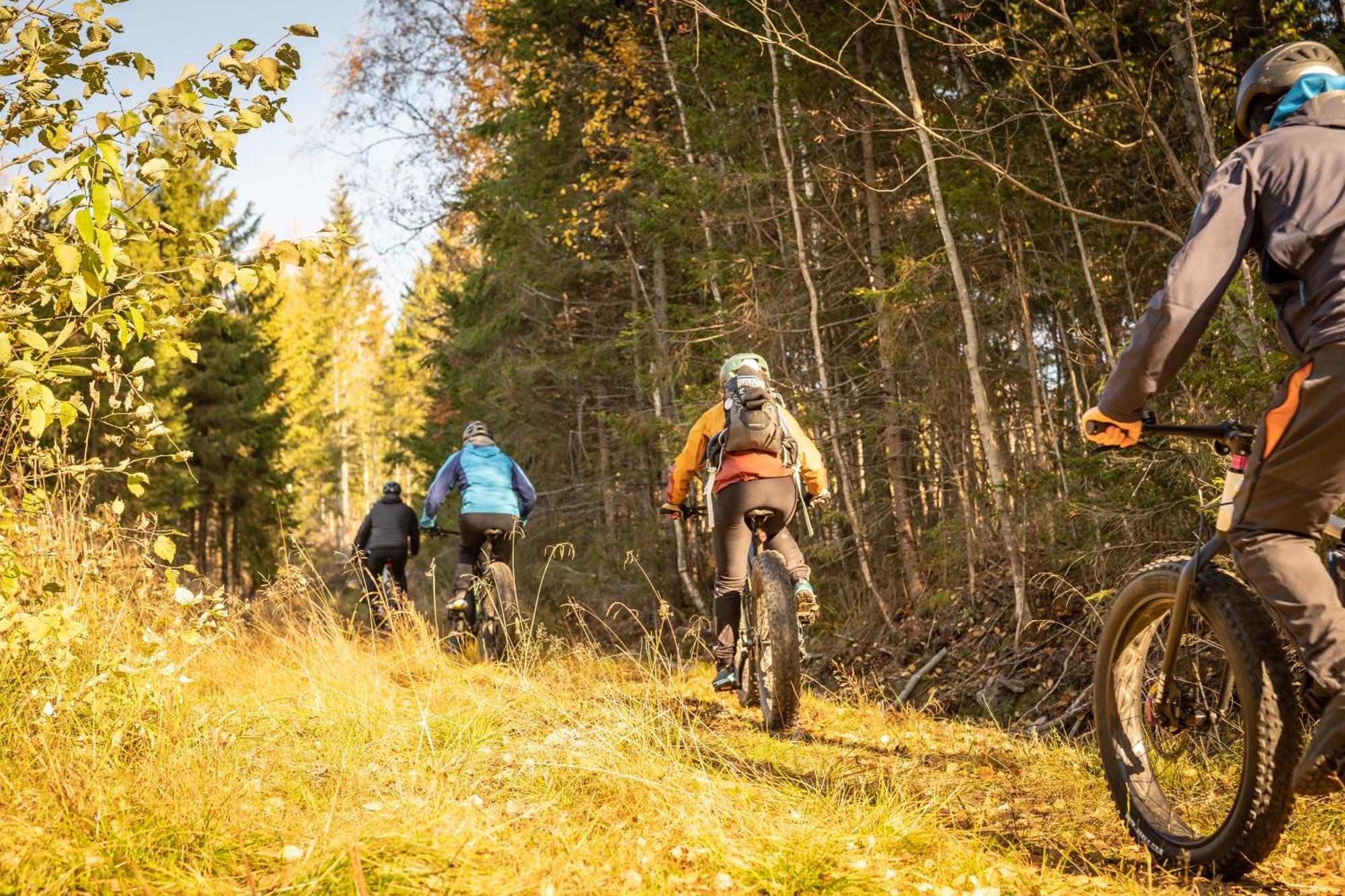 Guesthouse Koli Freetime Ahmovaara 외부 사진
